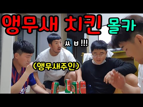 You guys fried my parrots and ate them??? lol