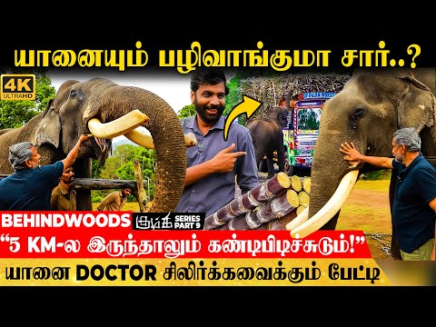 "கண் இல்லாட்டியும் கில்லாடி யானை Sir இவன்!"😎குழந்தையாய் மாறும் ராட்சச யானைகள்🐘 யானை DOCTOR பேட்டி
