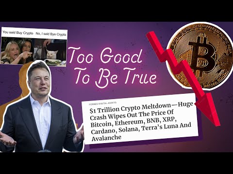 The Rise & Fall Of The Crypto Bro