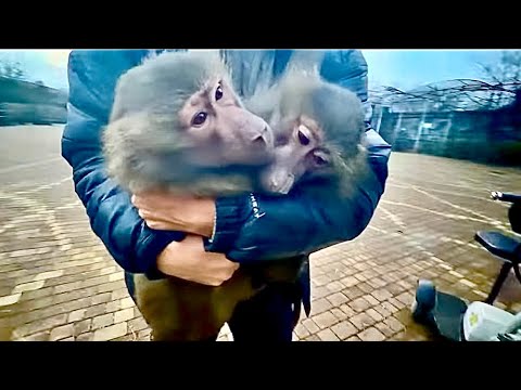 Stepka and Anya rushed after Lyusya so hard that we barely had time to catch them, we didn't let ...