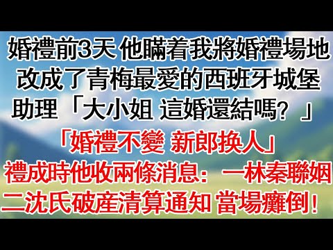 婚禮前三天，他瞞著我將婚禮場地改成了青梅最愛的西班牙城堡。助理「大小姐，這婚還結嗎？」「婚禮不變，新郎換人。」禮成時他收兩條消息：一林秦聯姻 二沈氏破產清算通知 當場癱倒！#情感故事#爽文#大女主