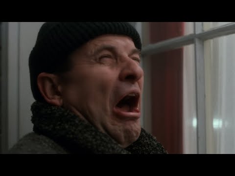 Home Alone 1 and 2 but it's just Harry and Marv being bullied