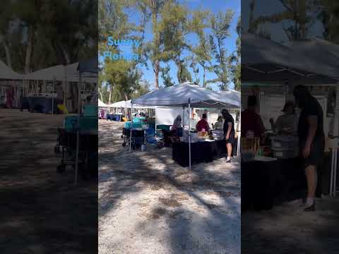 #coquinabeach #annamariaisland #beachvibes #sunshine #tikibar #yolo #shorts #youtubeshorts