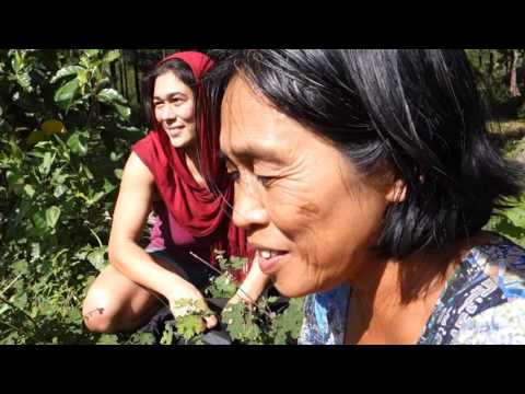 Abra de Ilog Mission 001