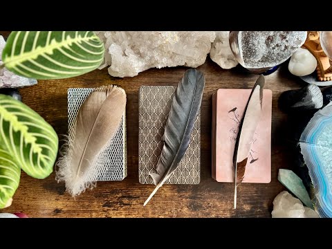 THEIR energy and How THEY are feeling about YOU! 🪶🪽🐦‍⬛ PICK A FEATHER 🐦‍⬛🪽🪶 TIMELESS READING 🪶🪽🐦‍⬛