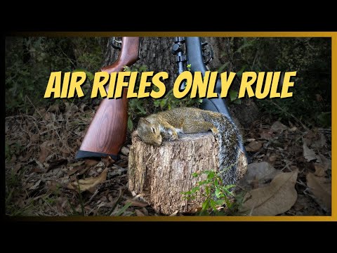 Air Riffle Squirrel hunt Challenge plus cook