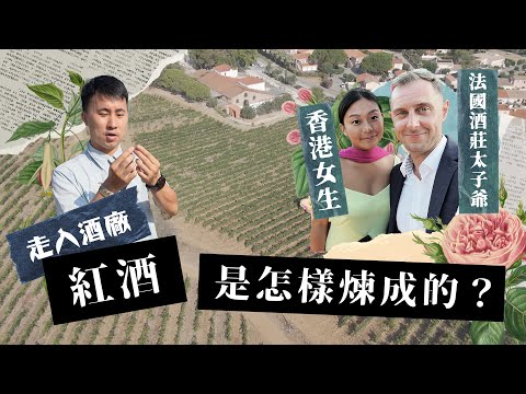港女棄做律師嫁法國酒庄老闆｜體驗有錢人鄉郊釀酒生活一天 南法沙灘假期 古堡級酒庄餐廳你不知道的正宗法式田螺烹調方法！免費入住家族小鎮經營酒店