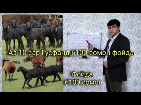 Бо ин тавр фойдаи калон аз гусфанд. Шарифхони Мирали. н.Фархор