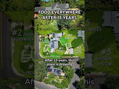 Food Everywhere - After 15 Years