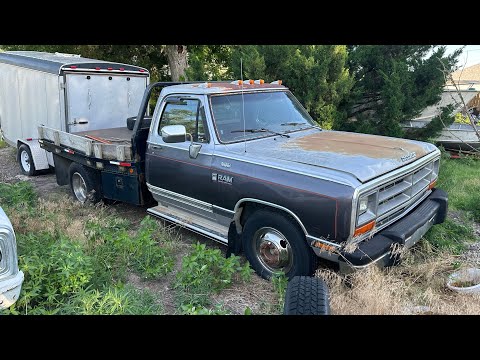 Abandoned 1st Gen Dodge D350 Cummins! Will it run and Drive Home?