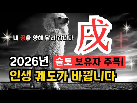 💎내 사주[술토(戌)가 있다면] 2026년 꿈을 향한 궤도 수정-인생의 목표 이루는 해