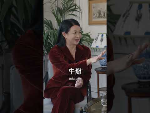 牛掰! Super! Jin Xing teaches Chinese words to international stars - Jean-Michel Jarre