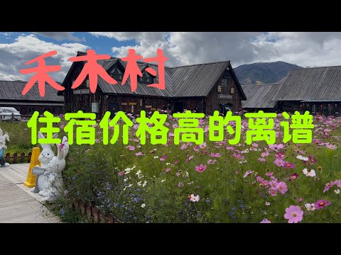 新疆禾木村值得去吗？名过于实？【vlog episode 1】Hemu Village，Xinjiang overrated？Worth visiting？