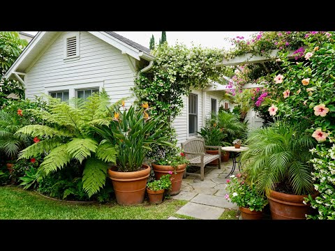 Boost Curb Appeal with a Cottage Garden Makeover: Cozy Garden | Garden Trends 2026
