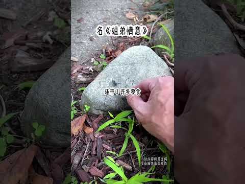 名《姐弟情意》#每日分享