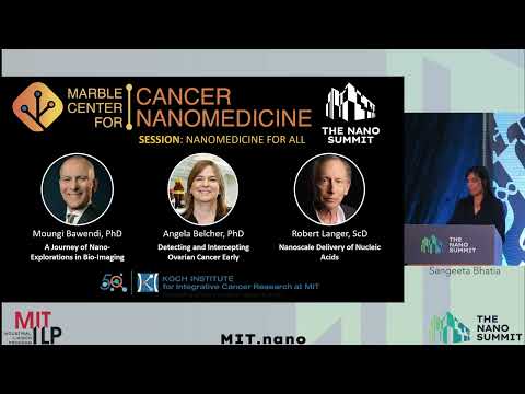 The Nano Summit 2024: Nanomedicine for all