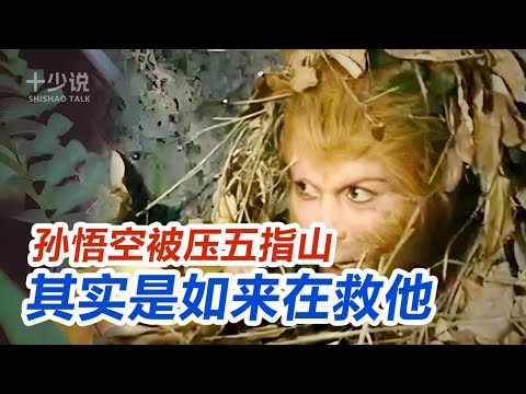 【西游记专题】孙悟空被压五指山，其实是如来佛祖救了他？深度解析西游记里不敢细看的暗黑职场学！#西游记 #十少说故事 #孙悟空