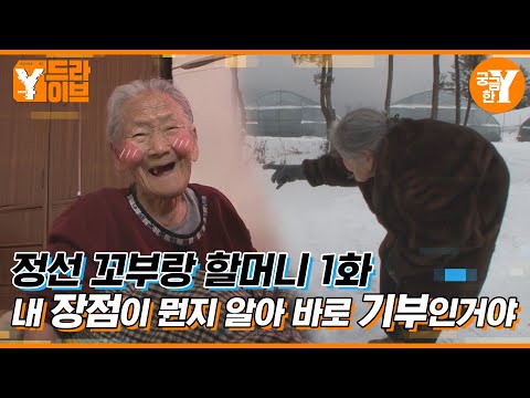 우렁각시들이 할머니 집으로 모이는 이유는? #꼬부랑할머니 1화 | Y드라이브