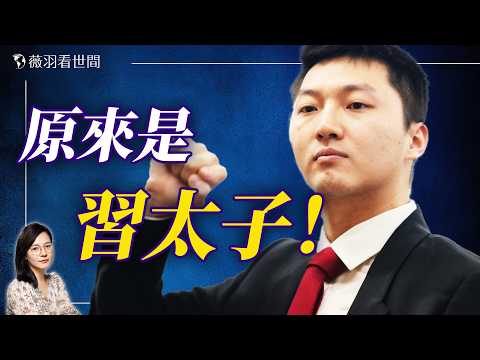 習近平和親姐為「太子」鬧不合！太子集團陳志黑金帝國完整曝光！｜薇羽看世間 20260401