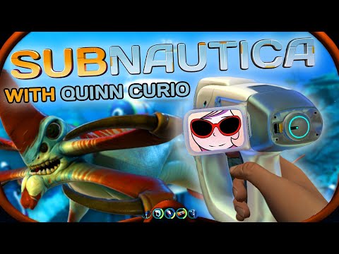 🦑 Crash Survivor Fails Upward 🦑  | Quinn Curio
