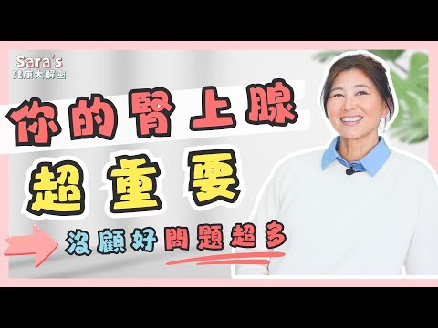 學校沒教的腎上腺秘密！他如何影響你的健康？｜Sara的健康大解密 EP.22｜賴宇凡Sara