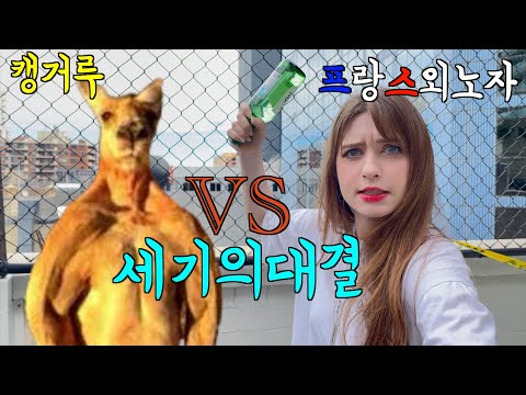 캥거루와 이 여자...맞짱뜨면 누가 이길까? 캥거루와의 현피 [호주]