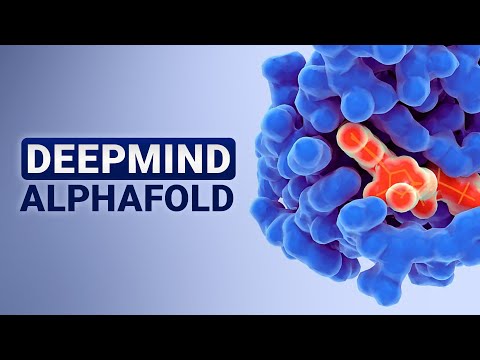 DeepMind AlphaFold: The Nobel Prize Winner!  🧬