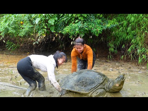REWIND TIMALAPSE --3 Years Harvest A Lot Of Big Catfish, Turtle Go To Countryside Market Sell