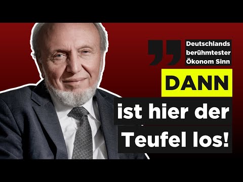 Es DROHEN Verteilungskonflikte zwischen Jung und Alt / AKTIEN + IMMOBILIEN schützen/Hans-Werner Sinn