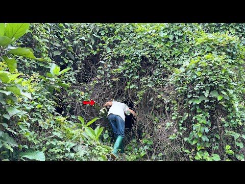 Man buys old house for only $2500 to live in and clean, makes people worried