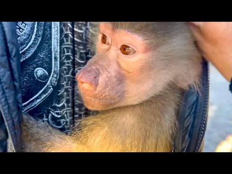 Я давно так НЕ СМЕЯЛАСЬ! Люська увидела Олега Зубкова и РВАНУЛА со всех лап ПРЯТАТЬСЯ)))