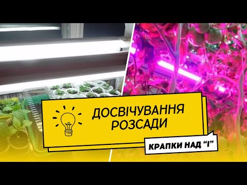 Світло для розсади: коли, скільки, чим та як досвічувати
