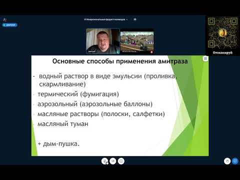 Рахматулин Д.К. - Оценка эффективности способов применения амитраза для лечения варроатоза пчел