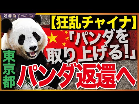 The pandas at Ueno Zoo will be returned to China. The Chinese government is furious at Takaichi's...