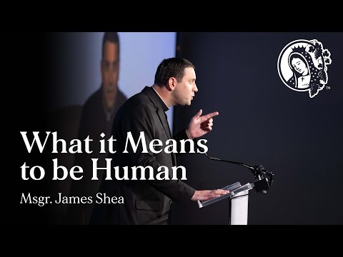 What it Means to be Human - Msgr. James Shea - Napa Institute Summer Conference 2024
