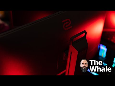 The new Pro Gaming Monitor from Zowie | ZOWIE XL2566K TN 360 Hz