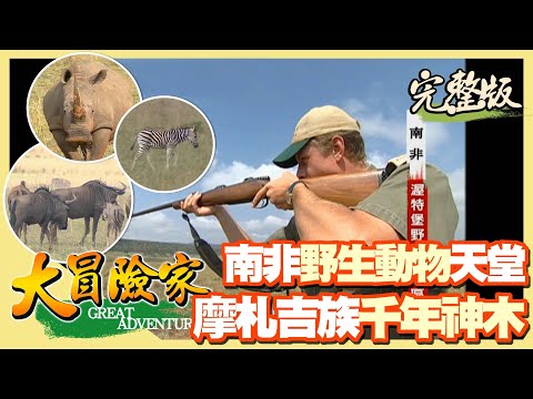 【大冒險家】深入非洲大草原 兇猛野生動物天堂（渥特堡野生動物區／派迪族三大美食／摩扎吉族的求雨巫師／千年魔鬼神木）│2005.05.09│277集完整版