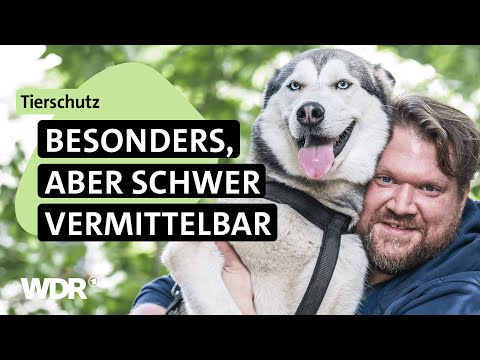 Krank, schwach, gefährlich? Auch diese Tiere verdienen ein Zuhause | Hallo Tierheim! | S04/E04 | WDR