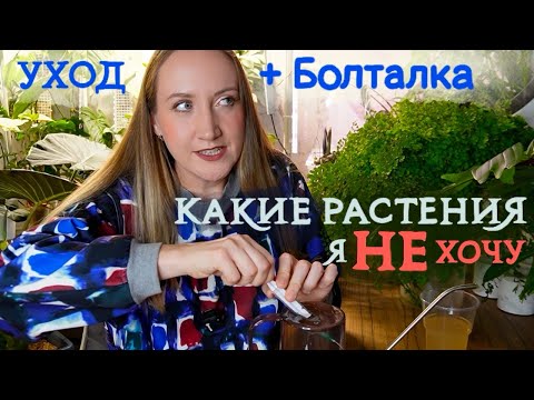 Разговорный УХОД ЗА РАСТЕНИЯМИ | Мои НЕТ в растениях