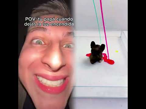 🤣👌👌👌2026 pov Must-Watch Crazy Clips Compilation #humor #fypシ #pov #fyp #foryou 😍😜