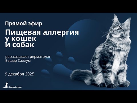 Пищевая аллергия у собак и кошек. Прямой эфир