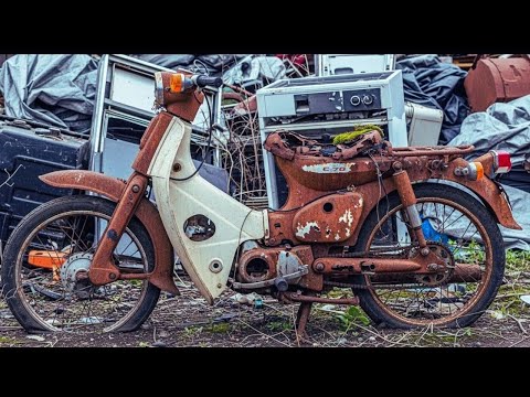 1979 Honda Super Cub C70 Full Restoration // Will It Run After 48 Years!