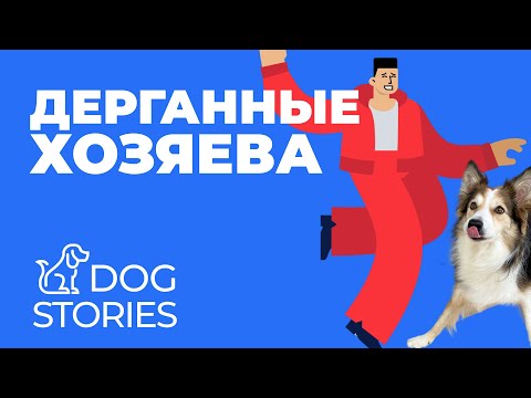 Hyperactive puppy 🐕 Nervous owners = overexcited dog