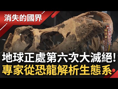 地球第六次大滅絕發生中! 科學家"借鏡恐龍"研究當代生態系 曝人類正加速自我滅絕速度 罕見三角龍皮膚出沒台灣 頂尖職人"化石清修師"大揭密│李文儀主持│【消失的國界完整版】20230916│三立新聞台