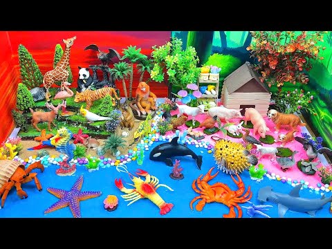 Learn Farm, Wild and Sea Animals Names | DIY Animal Diorama