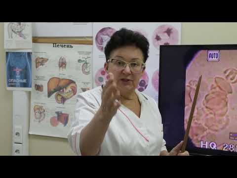 Bloating: Causes and How to Cope [Shishova O.I.]