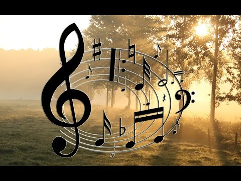 Сборник - 24. Музыка Сергея Чекалина. Collection - 24. Music by Sergey Chekalin.