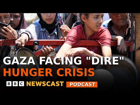 Humanitarian groups warn of mass starvation in Gaza | BBC Newscast