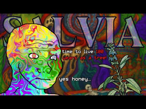 The Insanity of Salvia