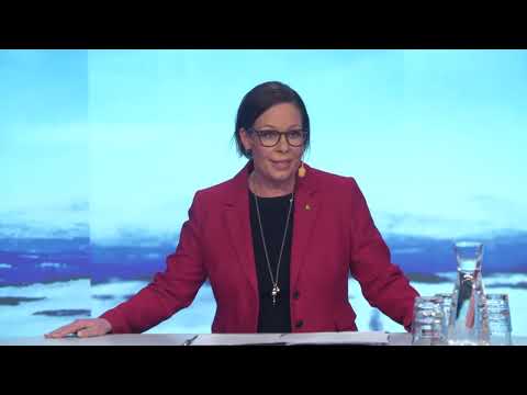 Nordiskt ledarskap för samarbete i oroliga tider. Maria Malmer Stenergard, Sveriges utrikesminister